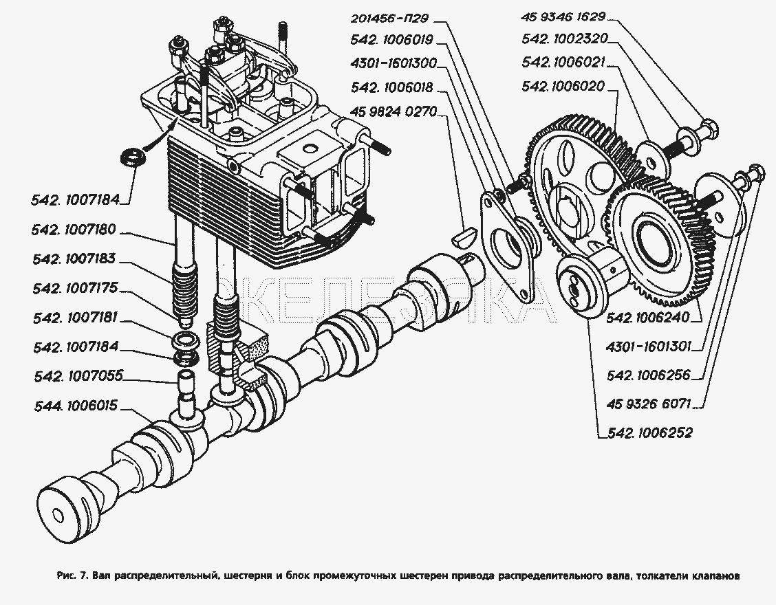 Вал распределительный, шестерня и блок промежуточных шестерен привода распределительного вала, толкатели клапанов.  ГАЗ-3306