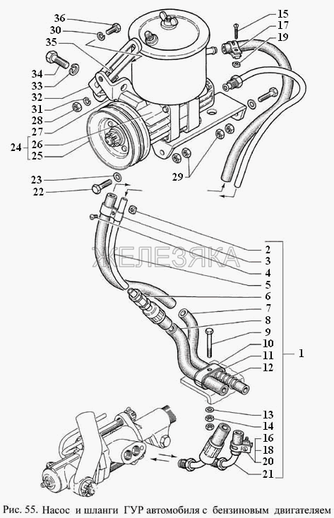 Насос и шланги ГУР автомобиля с бензиновым двигателем.  ГАЗ-3308