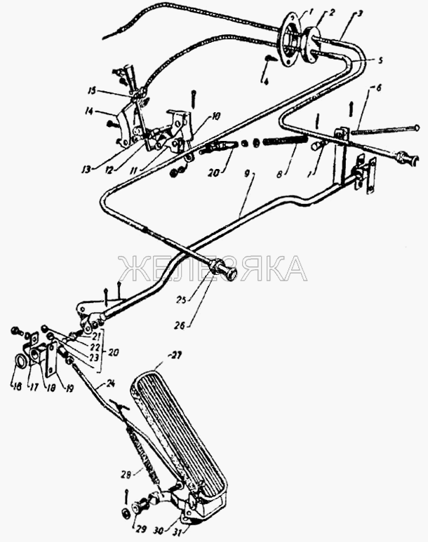 Акселератор.  ГАЗ-21